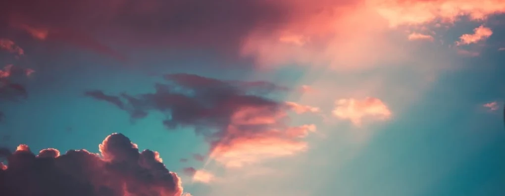 De palliatieve roze wolk