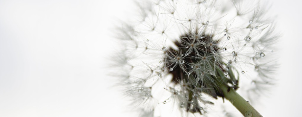 Een bijzondere glimlach