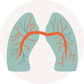 Chronic obstructive pulmonary disease (COPD)
